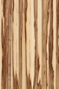 CHARACTER REDGUM