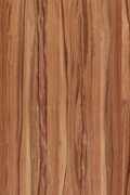 CHARACTER TINEO